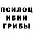 COCAIN Fish Scale Artemiy Smetanin