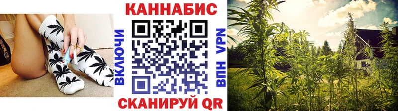 Канабис сатива  Мышкин 